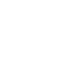 persona